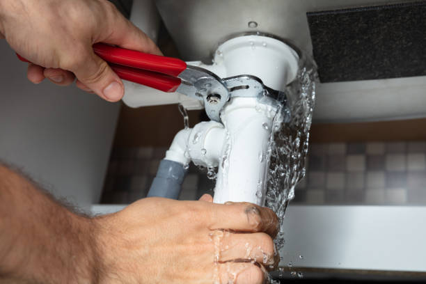 Best Mold removal after water damage  in Lewistown, IL