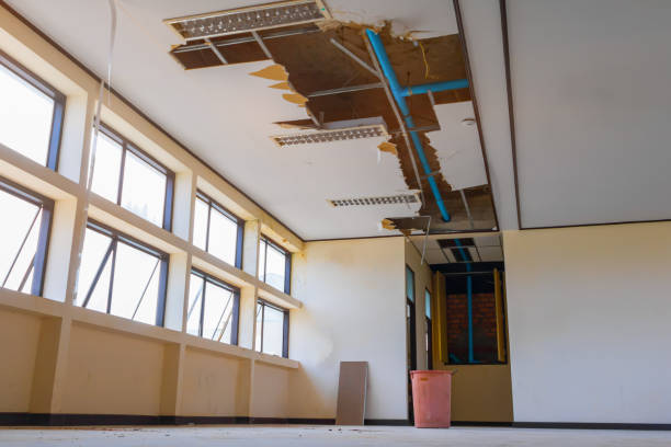 Best Water damage contractors near me  in Lewistown, IL