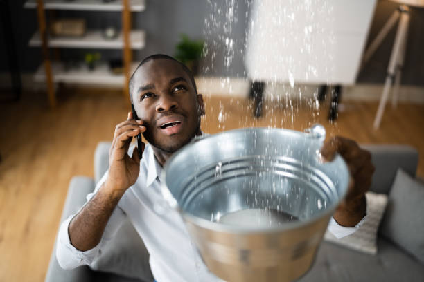 Best Ceiling water damage repair  in Lewistown, IL