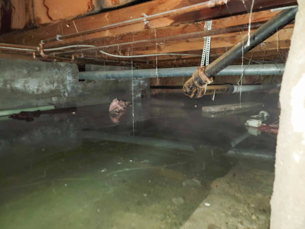 Best Water damage restoration near me  in Lewistown, IL