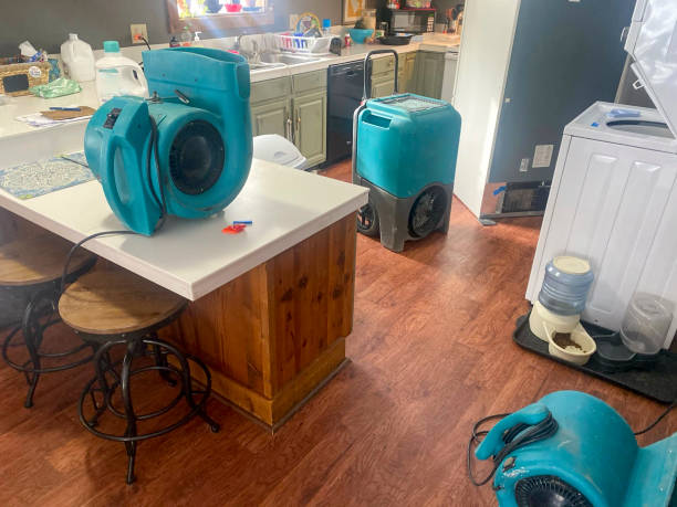 Water damage restoration insurance claims in Lewistown, IL