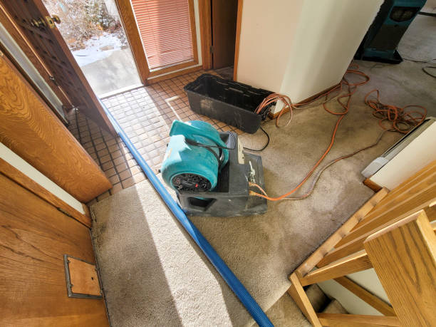 Best Residential water damage restoration  in Lewistown, IL
