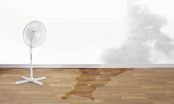 Lewistown, IL Water damage restoration Company