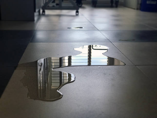 Best Water damage cleanup near me  in Lewistown, IL
