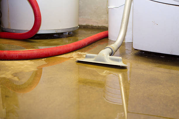Best Basement water damage restoration  in Lewistown, IL