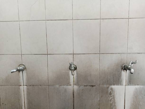 Best Sewage cleanup and water damage restoration  in Lewistown, IL
