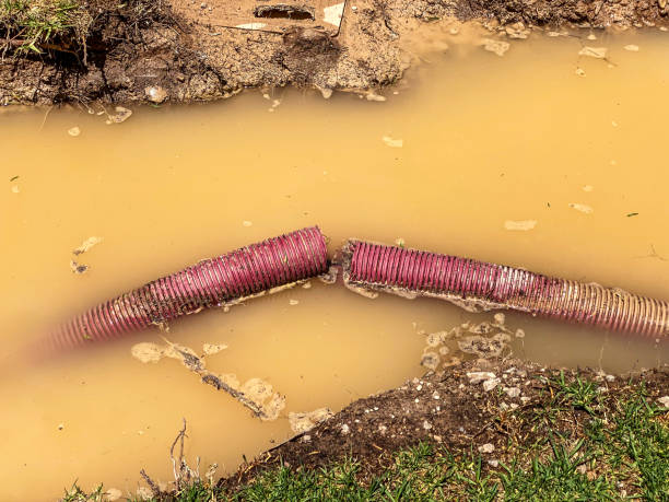 Best Carpet water damage restoration  in Lewistown, IL