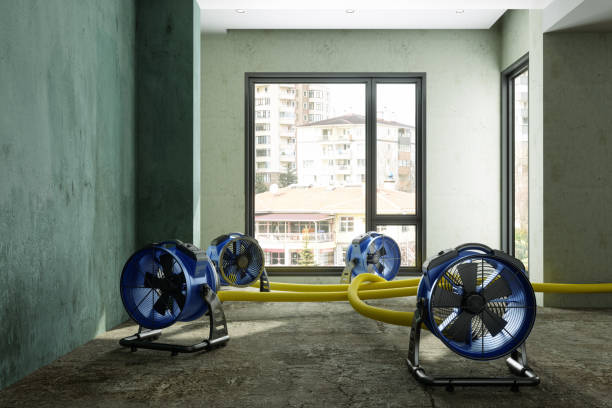 Water damage restoration process in Lewistown, IL