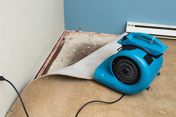 Best Flooded house restoration  in Lewistown, IL